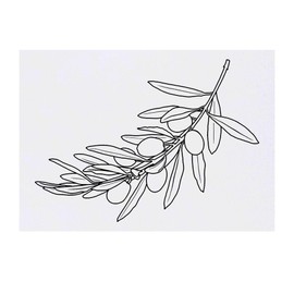 'Olive Branch' Temporary Tattoo - Water Resistant, Skin-Safe, Non-Toxic Transfer (TO00056953)