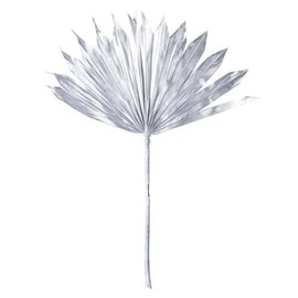 Vickerman 720097-13.75-19.5" Met Silvr Palm Sun Spr 12/bg (H7PPS200) Dried and Preserved Palms