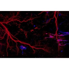 (2ft x 5ft / 24" x 60") Red Lightning Strike Matte Premium Vinyl Car Wrap Decal Film Sheet Air Channel Release Technology + Free Tool Kit (2 Feet and UP)