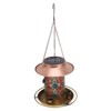 Solar Bird Feeder for Outdoors Hanging Exquisite Hollow Pattern Waterproof