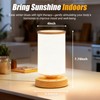 Qiuxunies Light Therapy Lamp 10000 Lux, Sunlight Lamp with Remote