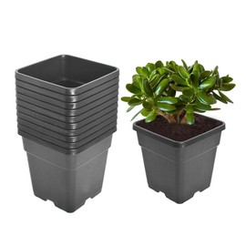labworkauto 10 Gallon Square Nursery Pots Plant Pots Growing Pots Nursery Container for Planting Soil Plants 10Pcs