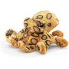 Folkmanis Mini Blue Ringed Octopus Finger Puppet