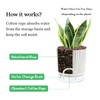 Etvski Self Watering Pots for Indoor Plants, 6 & 5
