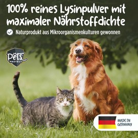 Pets Protect 100% Pure LYSIN for Cats and Dogs | 150 g Powder High Dose | Made in Germany | For Prevention & Support of the Immune System | For Cat Runny Nose | Without Artificial Additives