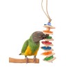 Parrot Bites Blossom - Small Parrot Toy