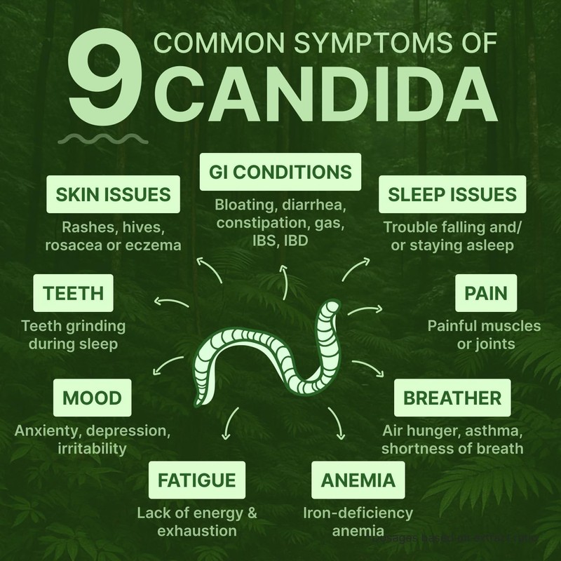 Candisite | Candida Cleanse | 10-in-1 Advanced Formula - Wormwood,