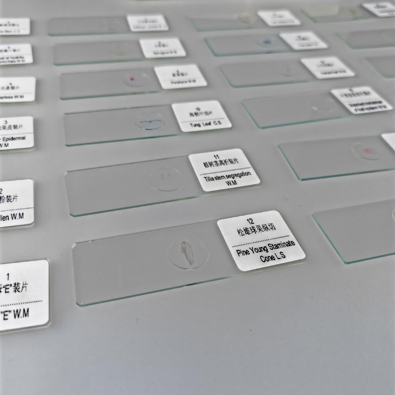 30 Pcs Microscope Slides Prepared Biology Specimen Lab Sample with