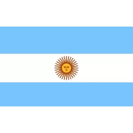 Lot of 10 Argentina Flag Face Stickers 1002 - 1.5" x 2.5"