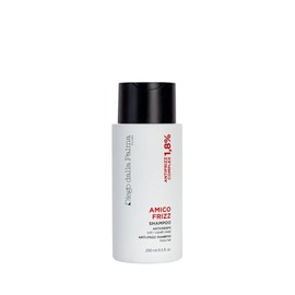 Diego dalla Palma | AMICOFRIZZ Anti-Frizz Shampoo gegen Frizz Complex mit Feuchtigkeitsschutz und antistatischer Wirkung, 250 ml