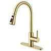 QFN Gold Kitchen Faucet with Pull Down Sprayer, High Arc Single Handle Single Level Stainless Steel Pull Out Sink Faucet for Farmouse Camper RV Bar, Fit for 1 or 3 Hole