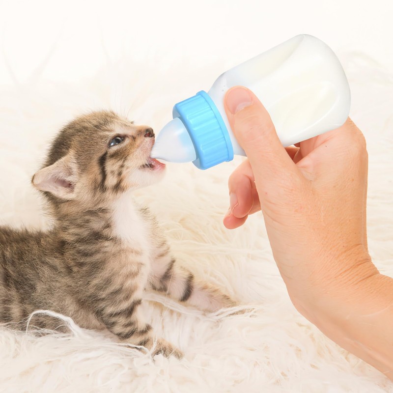 LEDMOMO Pet Bottle 120ml Kitten Milk Feeding Bottle Puppy Nutrition
