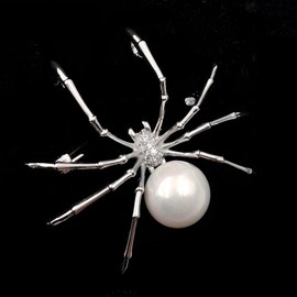 DREAMLANDSALES Victorian Style White Mother of Pearl Body and Micro Pave Head Spider Brooch Pin (White)