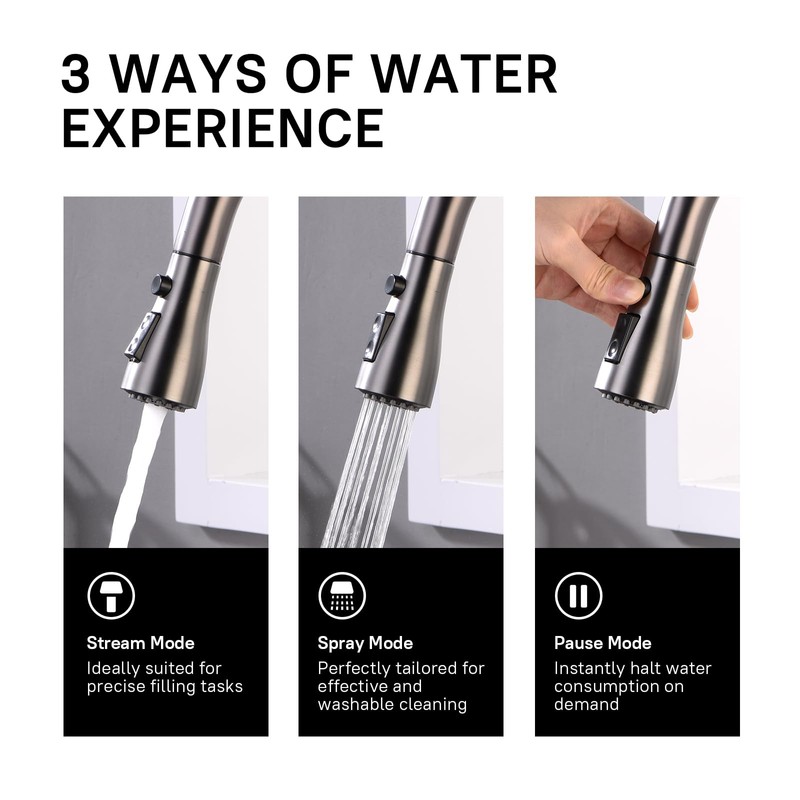 WEWE Black Stainless Kitchen Faucet with Pull Down Sprayer, Single