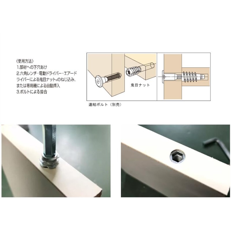 Ad Pack (Domestic Product) Demon-Eye Nut E Type M4x10 [Pack