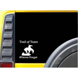 EZ-STIK Trail of Tears Sticker K531 Decal End of Trail Decal Buffalo