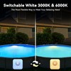 LyLmLe LED Pool Headlight with External Thread 2 Inches, 12