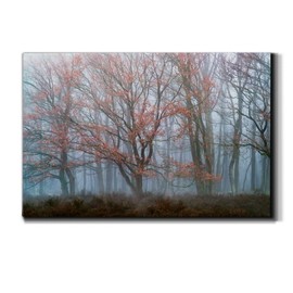 Wexford Home Landscape Canvas Wall Art Abstract Floral Forest Modern Pictures Artwork Decoration for Living Room Kitchen Bathroom Office, Ready to Hang, misty contrasts, 24x36