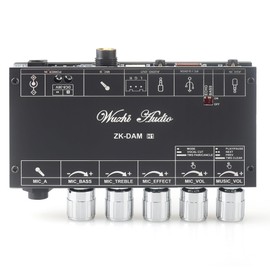 Wuzhi Audio ZK-Dam H1 with Wide Voltage Input (DC 8-36V) Dual Mic Inputs, Dynamic Anti-Feedback, TWS Pairing,USB/AUX/Bluetooth Input