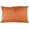 Hafaa Pillowcases 2 Pack Brushed Microfiber Rust Pillow Cases with