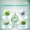 Exome Exorra 4X Active Gel AHA BHA PHA LHA Peeling