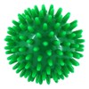 Hedgehog Ball Green, Pack of 1