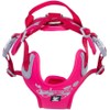 Hurtta Weekend Warrior Dog Harness, Ruby, 39-47 in