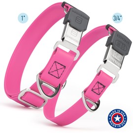 Randstark Biothane Waterproof Durable Dog Collar with Herm Sprenger - Quick Release ClicLock Buckle - Fits Medium and Large Dogs - Made in USA (Passionfruit Pink, W 3/4" x L 12"-19")