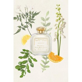 Mugeto Eau de Cologne 100ml 6315964007300 / 무게또 오드코롱 100ml 6315964007300