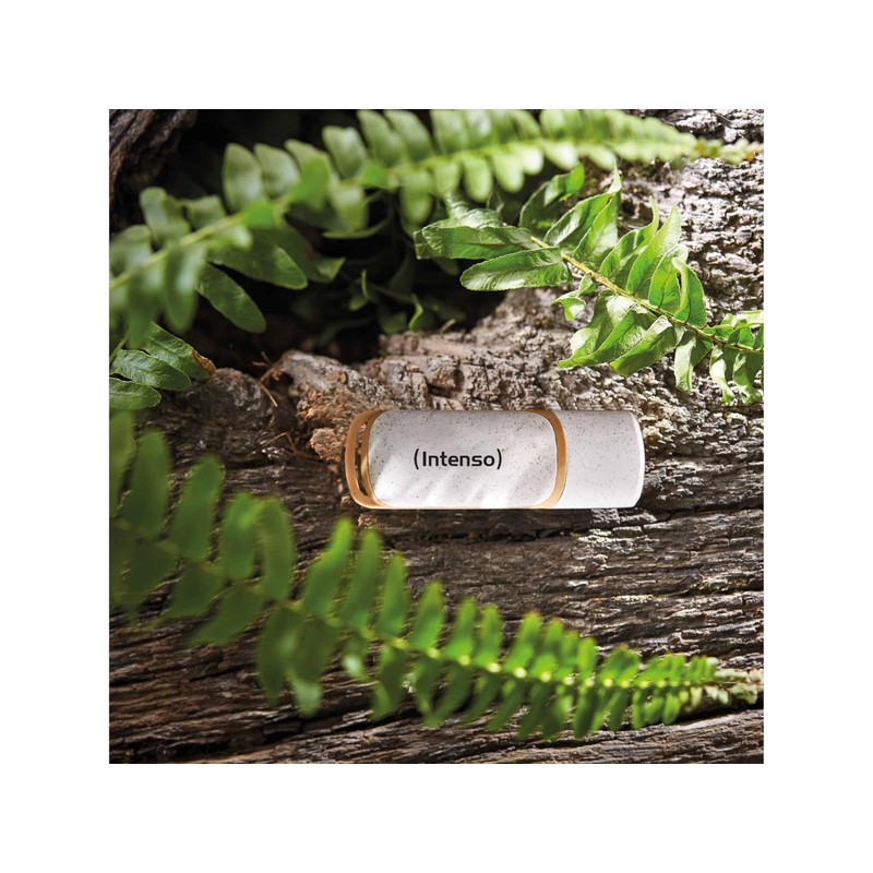 Intenso USB Stick USB 3.2 Gen 1x1 Green Line 128GB