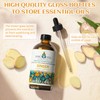 EVOKE OCCU Pine Needle Essential Oil 4 Oz, Pure Ginger