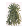 Beavertail Ghillie Grass Bundles, Green