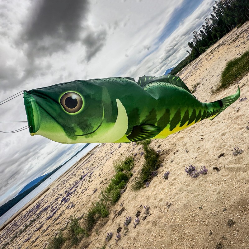 In the Breeze 5115 — Bass Fish Windsock-Hanging Outdoor Decoration,