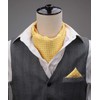 HISDERN Men's Check Polka Dot Floral Jacquard Woven Ascot Set,