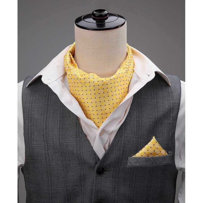HISDERN Men's Check Polka Dot Floral Jacquard Woven Ascot Set,