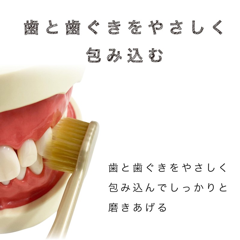 Ebisu The Premium Care Gap Plus, Soft, 2-Piece Set