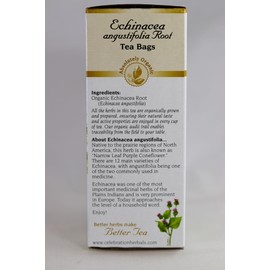 Celebration HERBALS Echinacea ANG Herb Tea Organic 24 Bag, 0.02 Pound