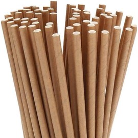 500 x Kraft Paper Drinking Straws Biodegradable Eco 8" (20cm) Approx (2x250) by Healthy Home