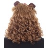 Cowardly Lion Wig & Beard Set, Brown Adult HM-245
