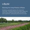 Eclectic Herb - Lymph & Blood Cleanse | Lymphatic &