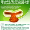 SUPPLEMENTS STUDIO SUPPLEMENTS STUDIO Liposomal Glutathione 500mg Supplement - Bundle