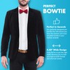 GoTie Men's Dotted Bowtie - Bow Ties Ready to Wear
