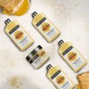 John Frieda Rehab + Revive Repair, For Extremely Damaged Hair,