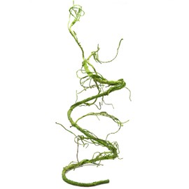 Pangea Reptile Ultimate Vine for Reptile Terrarium Habitat (Green)