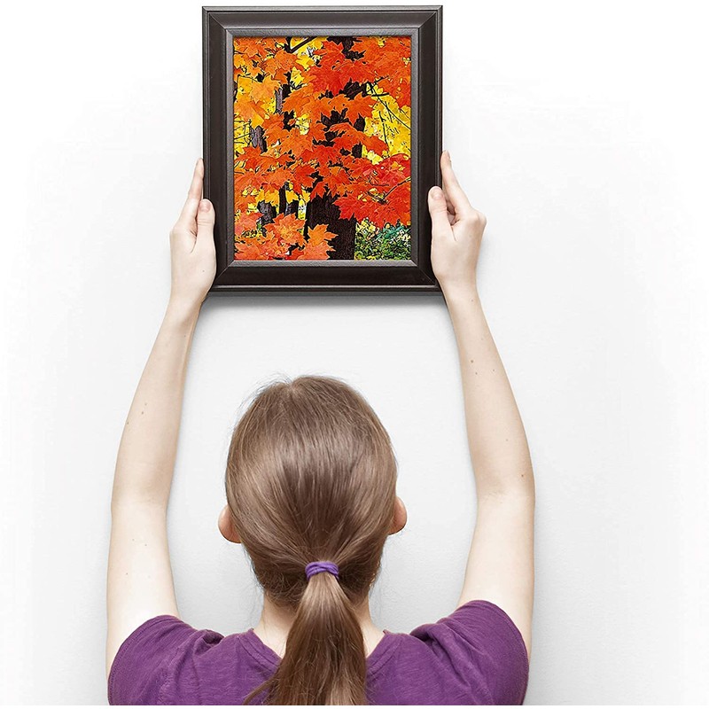 Fischer Pack of 10 White Picture Hooks with 4mm Dowels