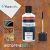 Paintsmiths Rust Converter – Rust Inhibitor & Treatment – 30ml