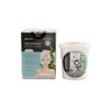 Seaweed Face Mask Set with 20 Masks and Accessories