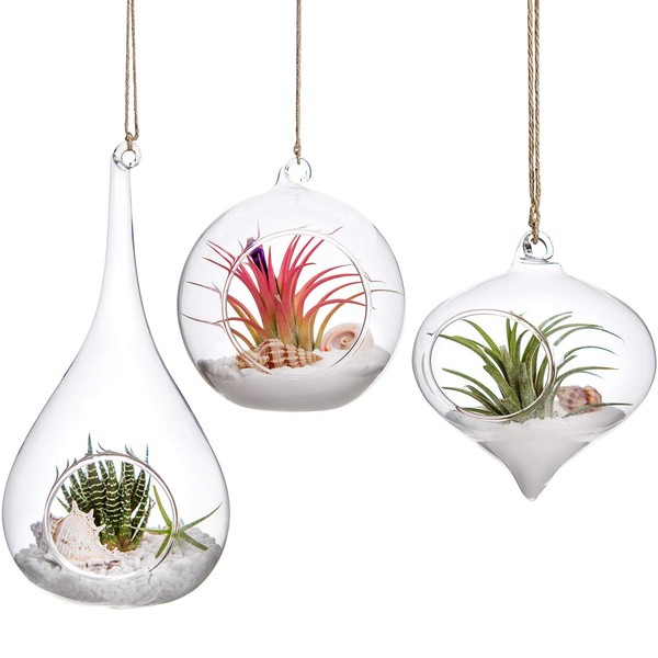 Mkono 3 Pack Glass Hanging Planter Air Fern Holder Terrarium Plants Hanger Vase, Home Christmas Decoration Gifts for Plant Lovers, Succulent Moss Tillandsias Air Plants Globe (Plant Not Included)