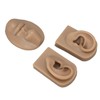 3D Nose and Mouth Model Silicone Ear Model Simulation Display