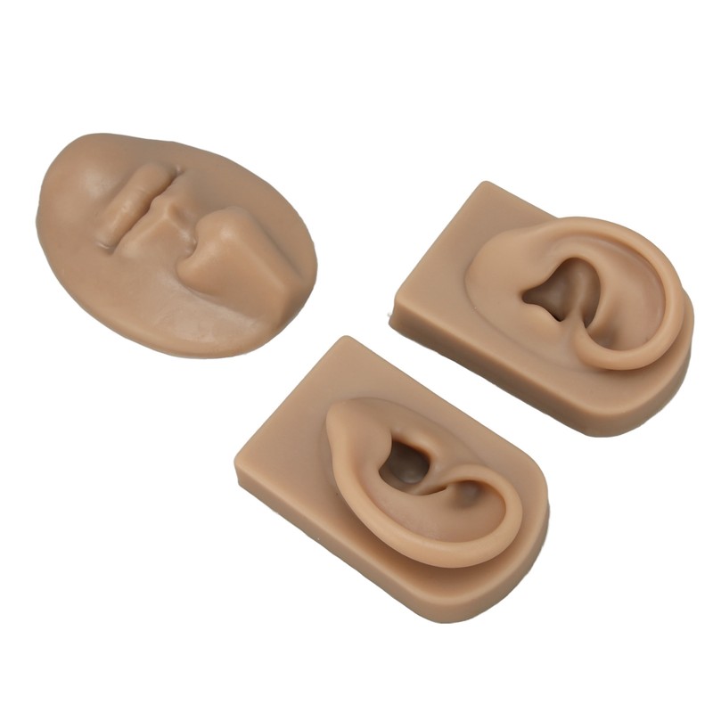 3D Nose and Mouth Model Silicone Ear Model Simulation Display